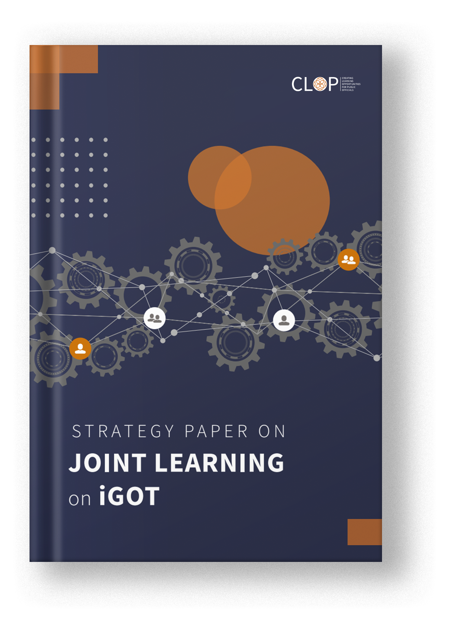 Joint learning on iGOT (JLI)
